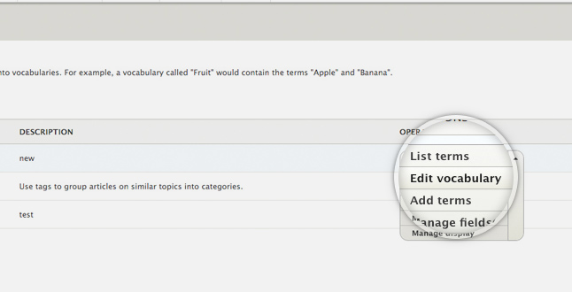 drupal_Manage_Vocabulary_01.jpg 